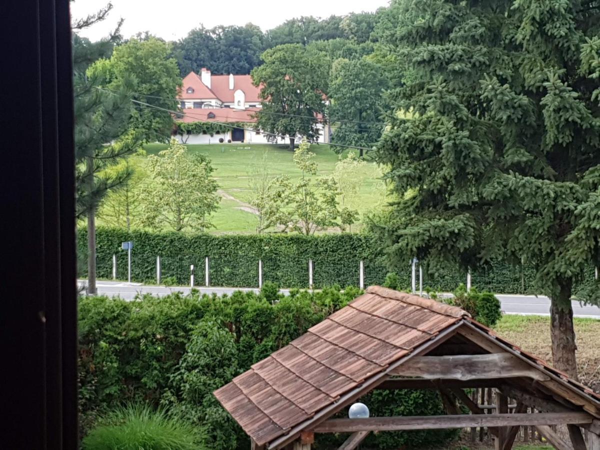 Seoski Turizam Sumak Miljana Kültér fotó